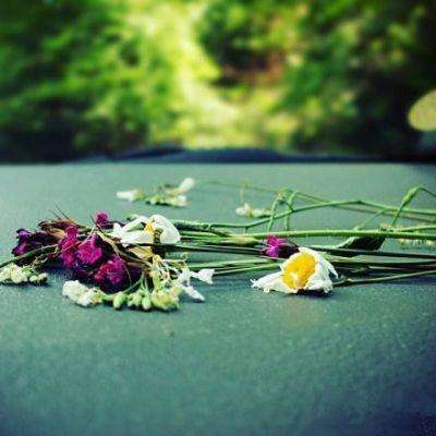 半岛bob综合登入app下载截图