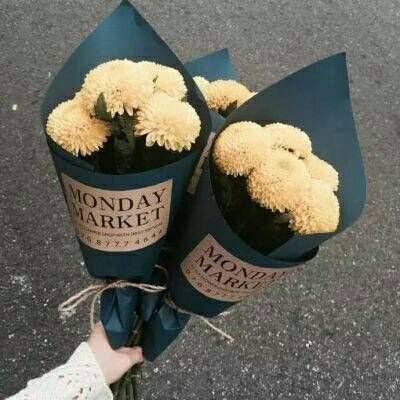 南宫体育app下载安装手机app下载截图