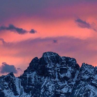 免费的行情网站app