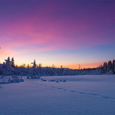 ag旗舰厅客户端下载