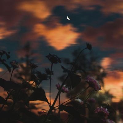 博鱼·(boyu)体育官方网站