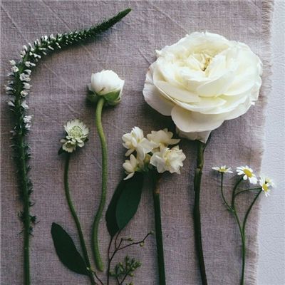 半岛官方体育网页登录