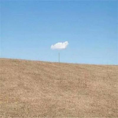 beat365手机app下载