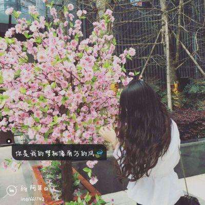 mg娱乐电子游戏网站